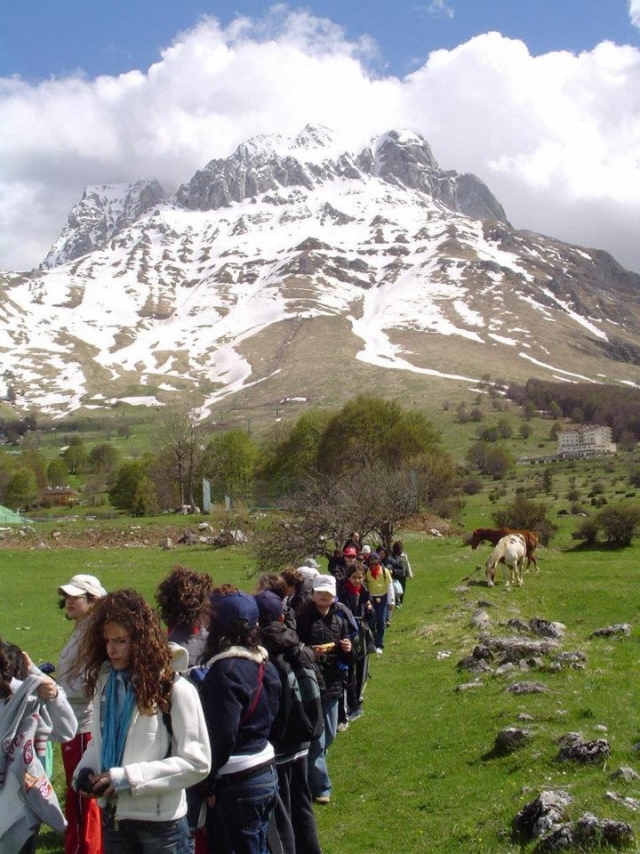  Descubriendo la naturaleza 